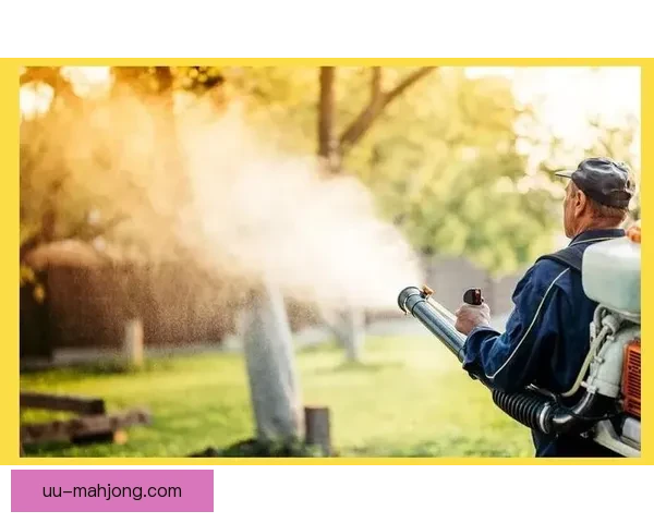 2026世界杯休斯顿赛区六月启用降温喷雾系统打造清凉观赛环境